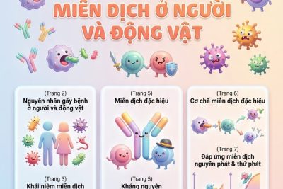 Nhóm Sinh học đồng hành cùng học sinh khám phá miễn dịch ở động vật và người qua những trang tạp chí và truyện tranh sinh động tại Thư viện trường THPT Kim Sơn C – Ninh Bình